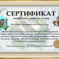 Прикольные сертификаты