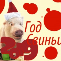 Cобери правильный ответ из числа 2019